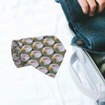 Amerikaanse kale adelaar hoofd patroon