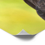 Amerikaanse kale adelaar poster (Hoek)