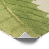 Amerikaanse kastanje (Castanea dentata) Poster (Hoek)