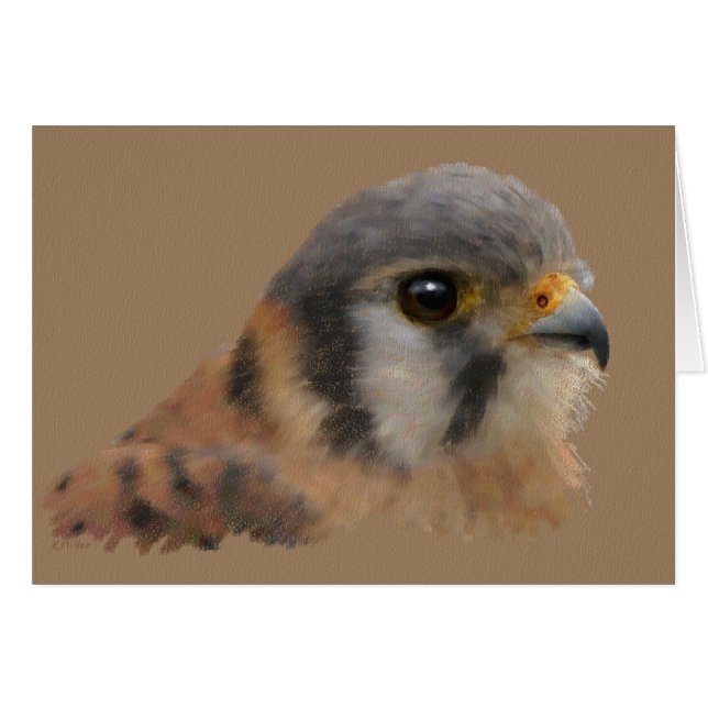 Amerikaanse kestrel (Voorkant Horizontaal)