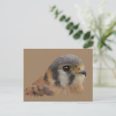 Amerikaanse kestrel briefkaart (Staand voorkant)