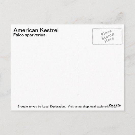Amerikaanse kestrel briefkaart (Achterkant)