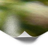 Amerikaanse kestrel foto afdruk (Hoek)