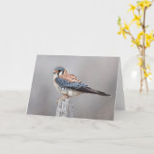 Amerikaanse kestrel kaart (Gele Bloem)