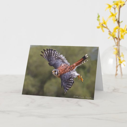 Amerikaanse kestrel kaart (Gele Bloem)