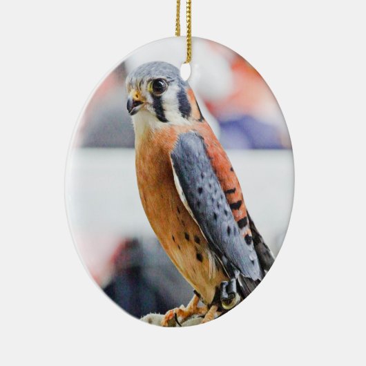 Amerikaanse kestrel keramisch ornament (Rechts)