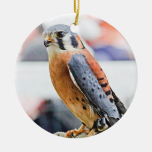 Amerikaanse kestrel keramisch ornament