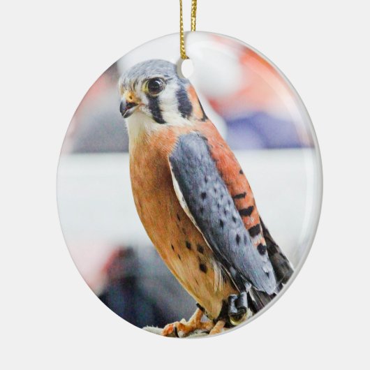 Amerikaanse kestrel keramisch ornament (Links)