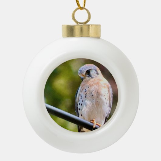 Amerikaanse kestrel keramische bal ornament (Voorkant)