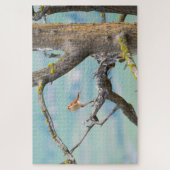 Amerikaanse kestrel legpuzzel (Verticaal)