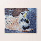 Amerikaanse kestrel legpuzzel (Horizontaal)
