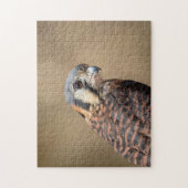 Amerikaanse kestrel legpuzzel (Verticaal)