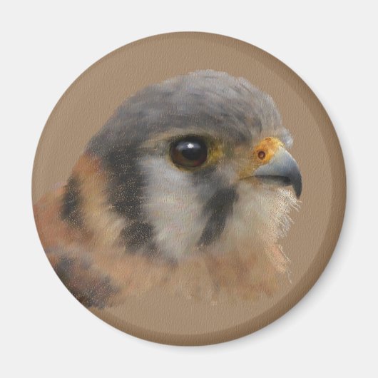 Amerikaanse kestrel magneet (Voorkant)