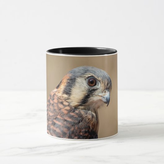 Amerikaanse kestrel mok (Midden)