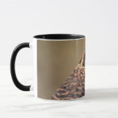 Amerikaanse kestrel mok (Links)