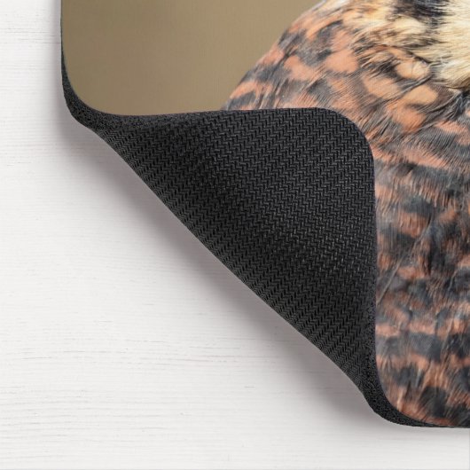 Amerikaanse kestrel muismat (Hoek)