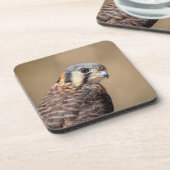 Amerikaanse kestrel onderzetter (Linkerzijde)