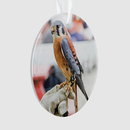 Amerikaanse kestrel ornament (voorkant)