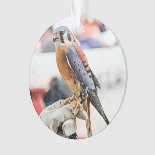 Amerikaanse kestrel ornament (voorkant)