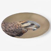 Amerikaanse kestrel papieren bordje (Gekanteld)