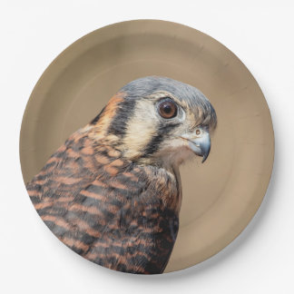 Amerikaanse kestrel papieren bordje