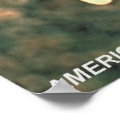 Amerikaanse kestrel poster (Hoek)