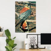 Amerikaanse kestrel poster (Thuiskantoor)