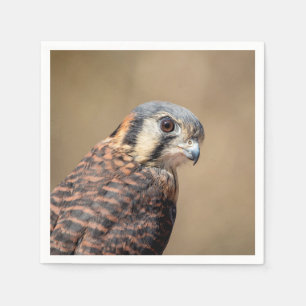 Amerikaanse kestrel servet