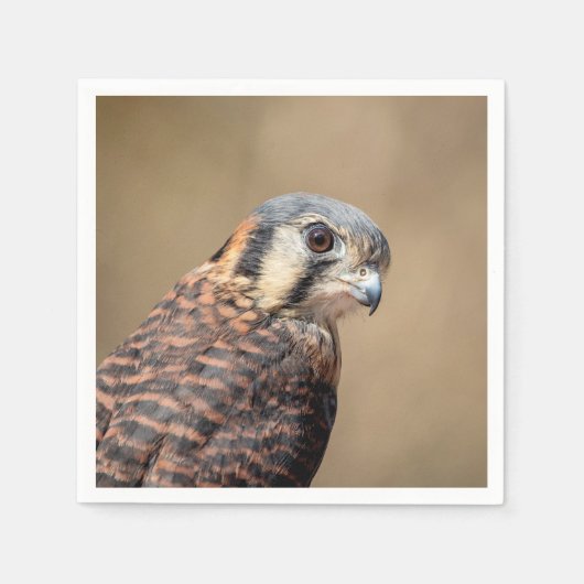 Amerikaanse kestrel servet (Voorkant)