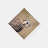 Amerikaanse kestrel servet (Hoek)