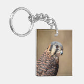 Amerikaanse kestrel sleutelhanger (Voorkant Links)