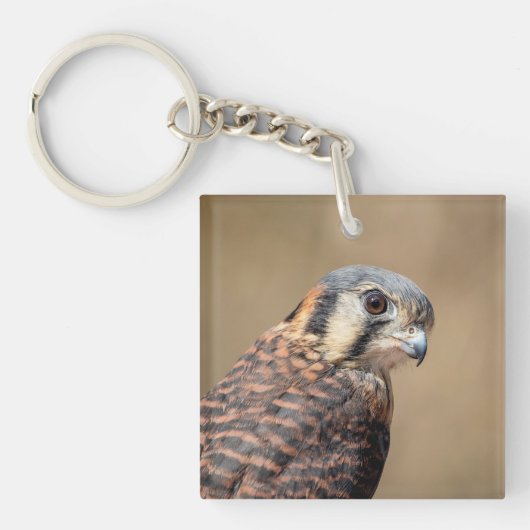 Amerikaanse kestrel sleutelhanger (Voorkant)
