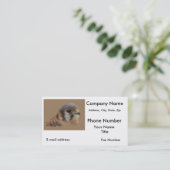 Amerikaanse kestrel visitekaartje (Staand voorkant)