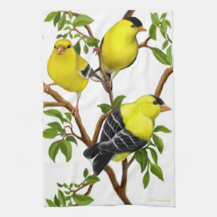 Amerikaanse keukenhanddoek Goldfinch Birds