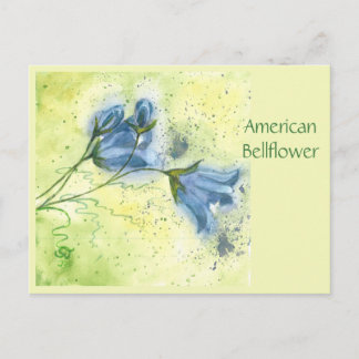 Amerikaanse Klokjesbloem Ansichtkaart Briefkaart