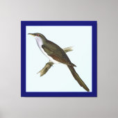 Amerikaanse Koekoek Vogel Canvas Print (Voorkant)