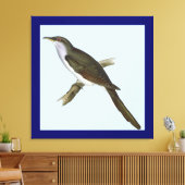 Amerikaanse koekoek vogel canvas Print (Insitu (Woonkamer))
