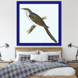 Amerikaanse Koekoek Vogel Canvas Print