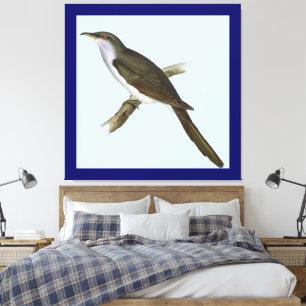 Amerikaanse Koekoek Vogel Canvas Print