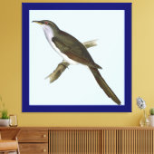 Amerikaanse Koekoek Vogel Canvas Print (Insitu (Woonkamer))