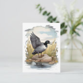 Amerikaanse koet in wetlands briefkaart (Staand voorkant)