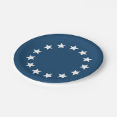 Amerikaanse koloniale vlagsterren papieren bordje (Gekanteld)