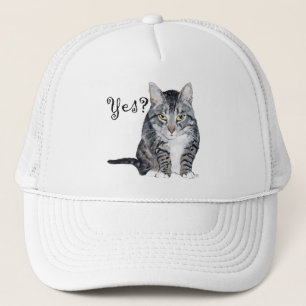 Amerikaanse Korthaar Kat - Ja? Trucker Pet
