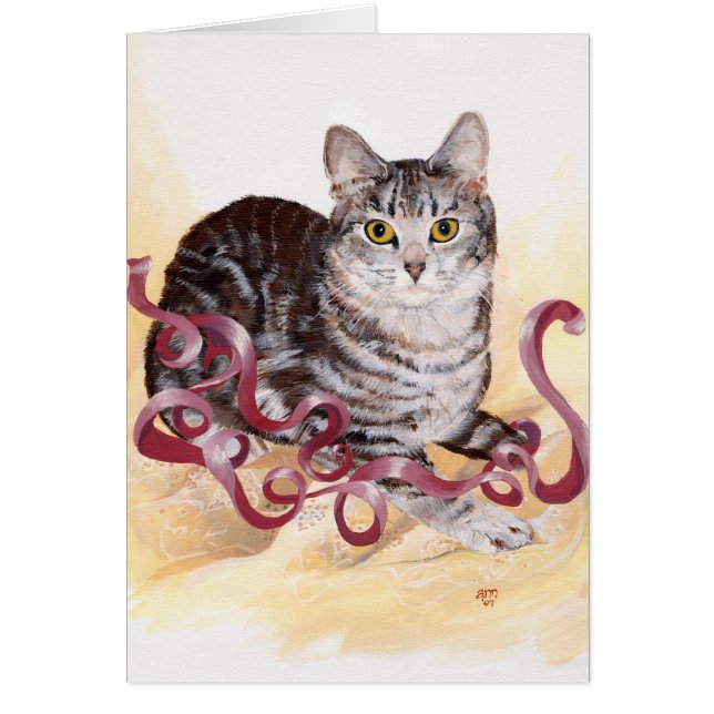 Amerikaanse Korthaar Tabby Kat (Voorkant)