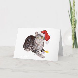 Amerikaanse Korthaar Tabby Kat - Kerstmis Feestdagen Kaart