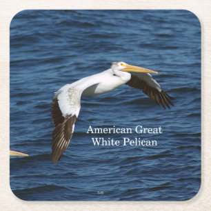 Amerikaanse krant Great White onderzetter