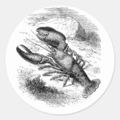 Amerikaanse kreeft ronde sticker (Voorkant)