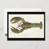 Amerikaanse kreeft - Sherman Denton Fish Lithograp Briefkaart (Voorkant / Achterkant)