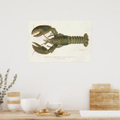 Amerikaanse kreeft - Sherman Denton Fish Lithograp Poster (Keuken)