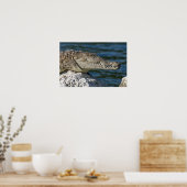 Amerikaanse krokodil poster (Keuken)